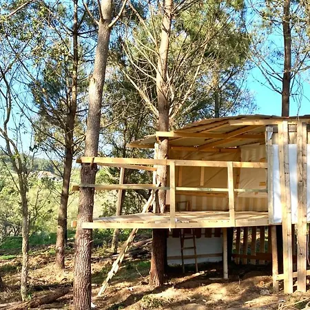 Corva Farmhouse Caldas Da Rainha