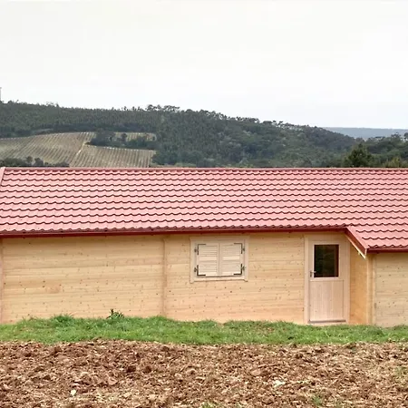 Corva Farmhouse Villa *